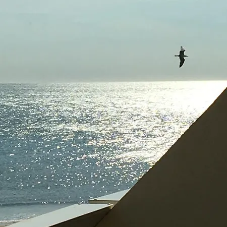 Apartament Elixxir Agde