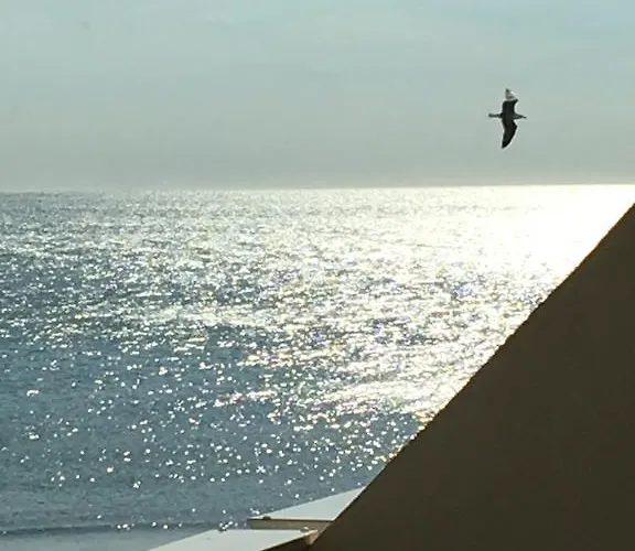 Апартаменти Elixxir Агд